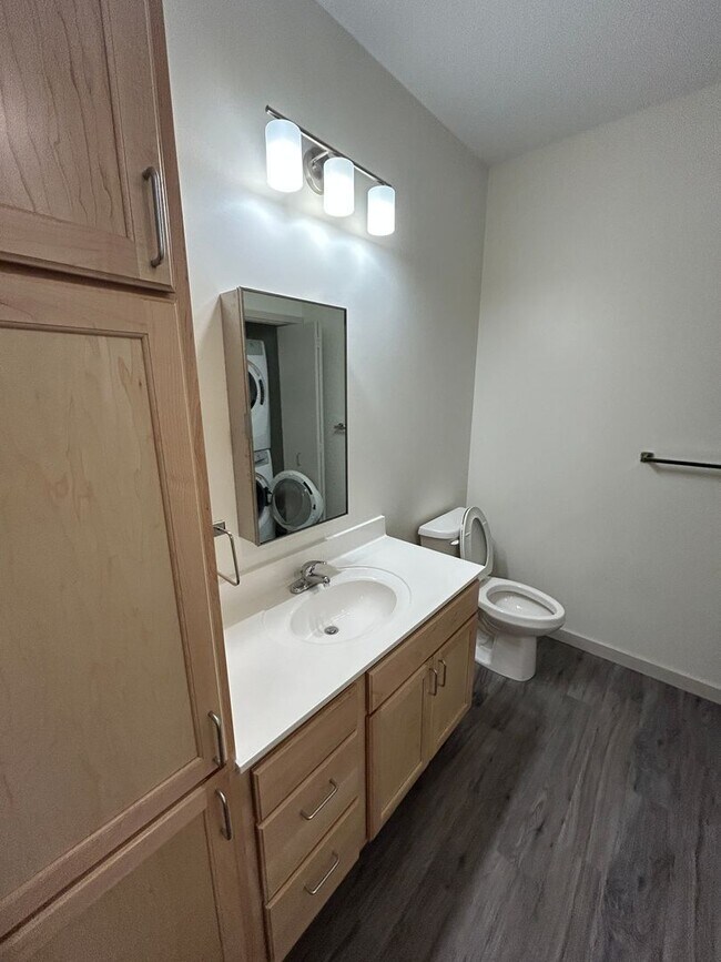 Building Photo - Studio Unit at Tiller+Main