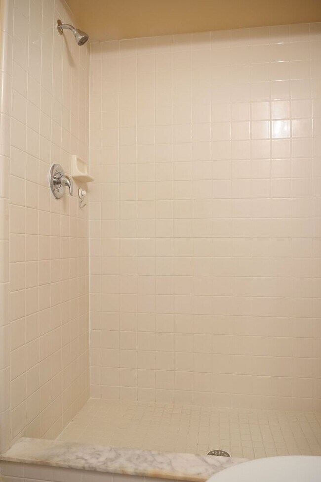 Building Photo - 1 story 3/2 in Meadow Woods with full sized washer and dryer included