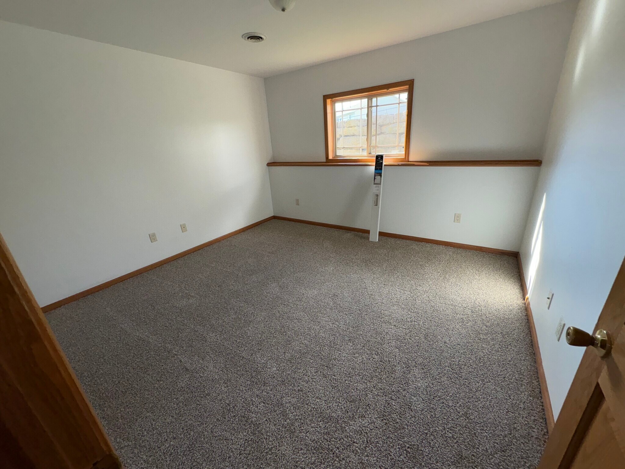 basement-3rd bedroom - 310 Redruth Dr
