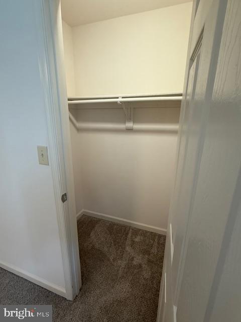 Building Photo - 50 Belladonna Ln