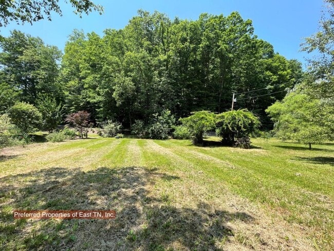 Building Photo - 709 Browns Mountain Rd