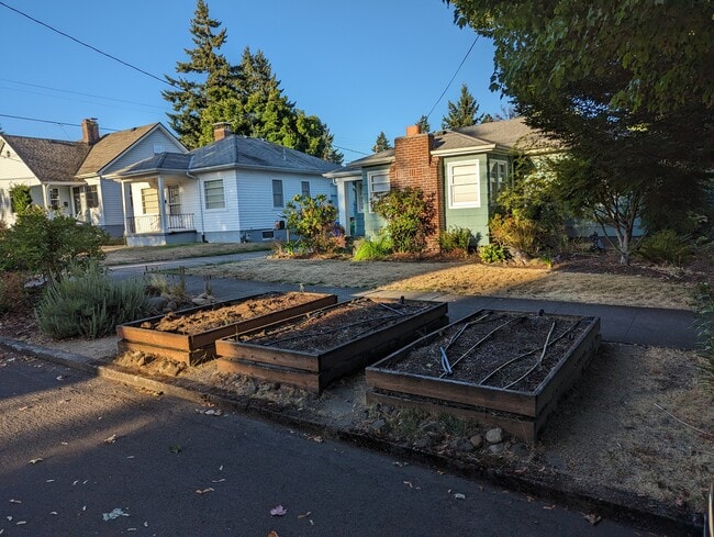 Grow beds and front yard - 3919 NE 67th Ave