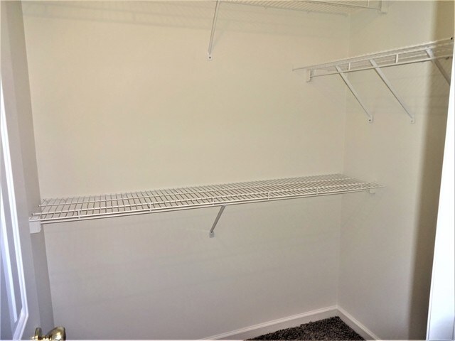Building Photo - 1550 Summit Pond Cir