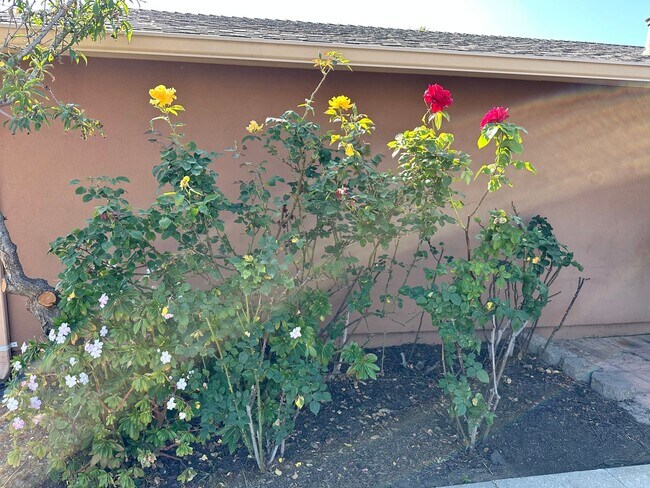 Building Photo - Beautiful Salinas Home