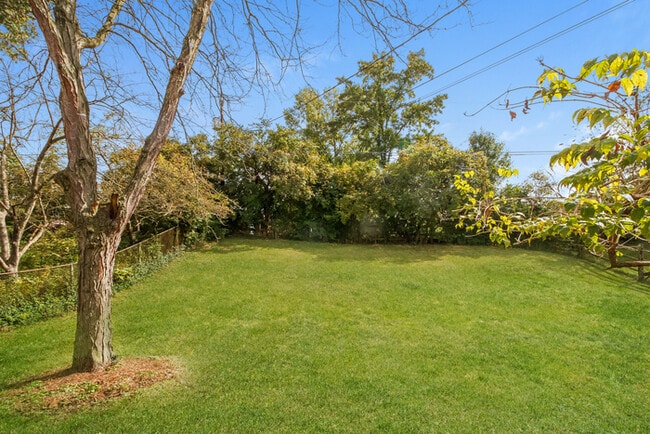 Building Photo - Bright 4-Bed Retreat