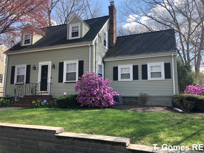 Primary Photo - 45 Ames St