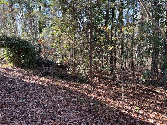 Building Photo - Really Cute Home in Lake Wildwood