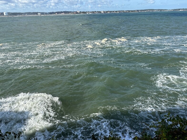 Building Photo - 234 Wilson Rd