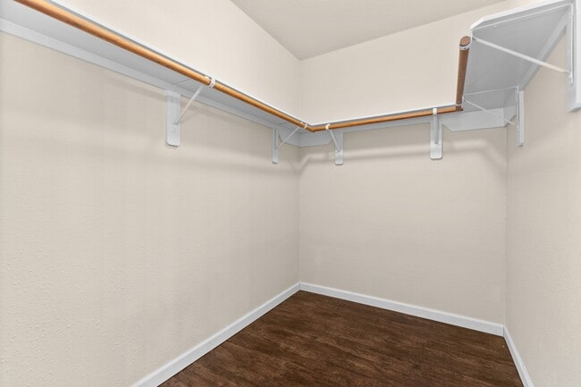 Building Photo - 2306 Urban Forest Ct