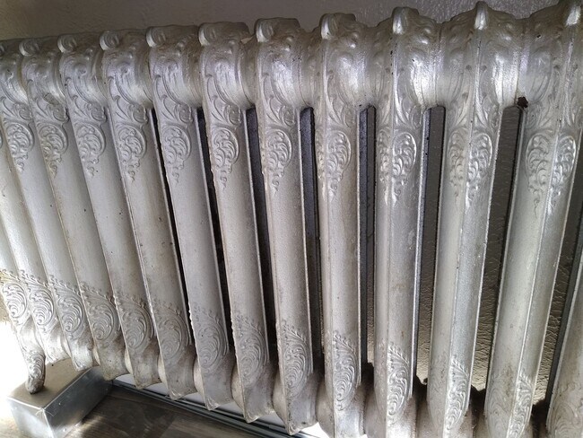 Building Photo - Cap Hil Adorable 1 Bedroom Available Now! ...