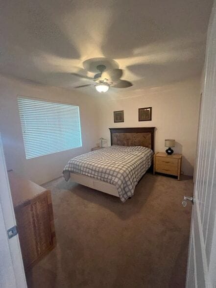Building Photo - 1300 Limahana Cir