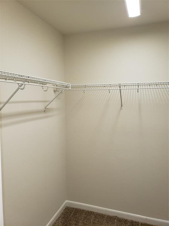 Building Photo - 12063 Mallard Stream Ct