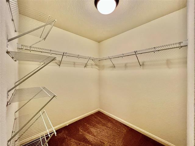 Building Photo - 2421 Fall Leaf Ct