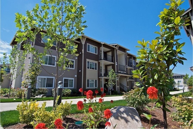 Primary Photo - Mill Creek Meadows