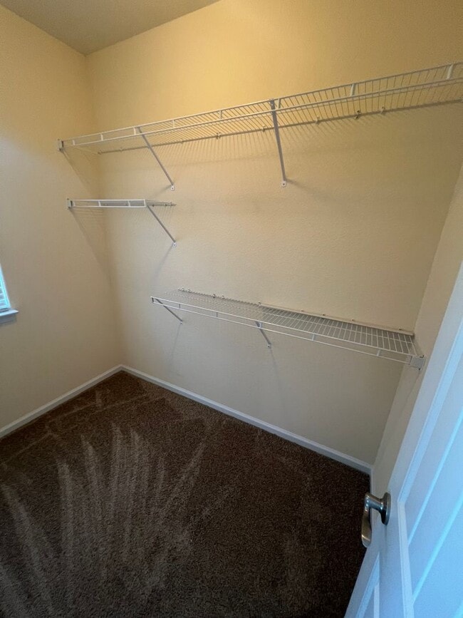 Building Photo - 908 Deep Branch Way