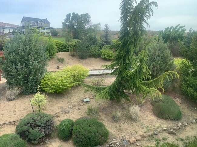 Building Photo - West Valley Home on a Hill