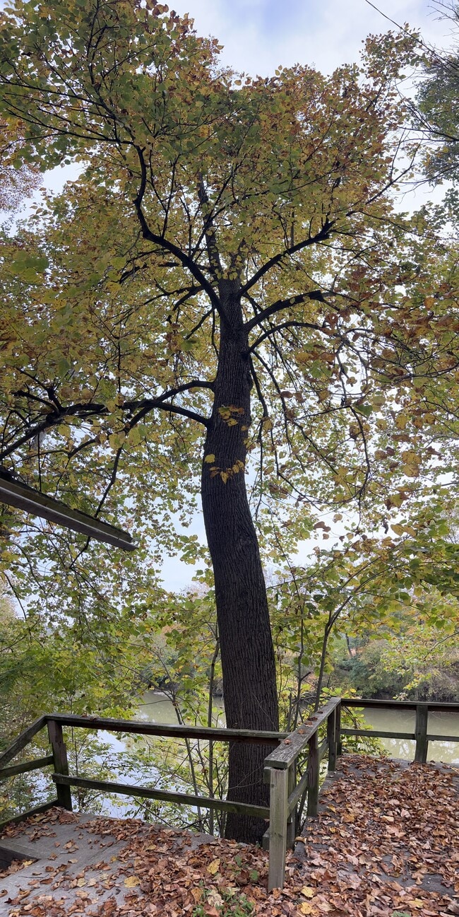 Building Photo - 2863 Licking Rd