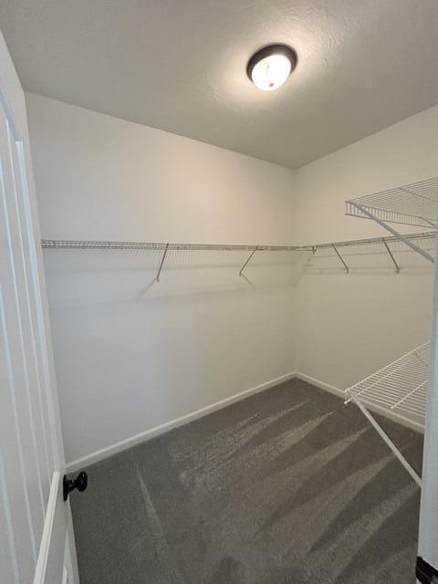 Building Photo - 5064 Nokesville Cir