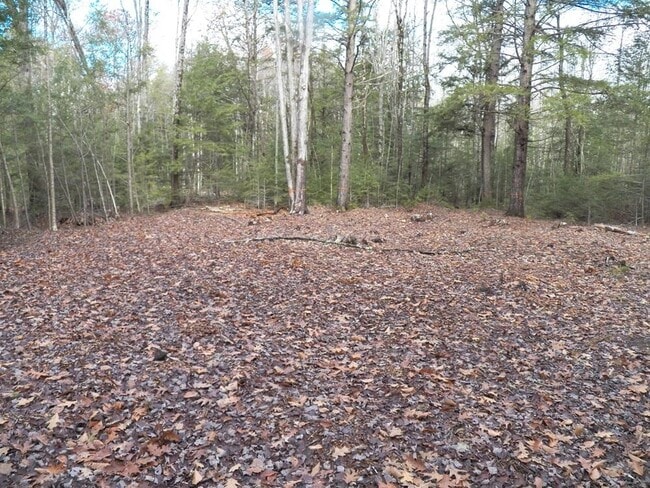 Building Photo - 2337 2nd New Hampshire Turnpike N