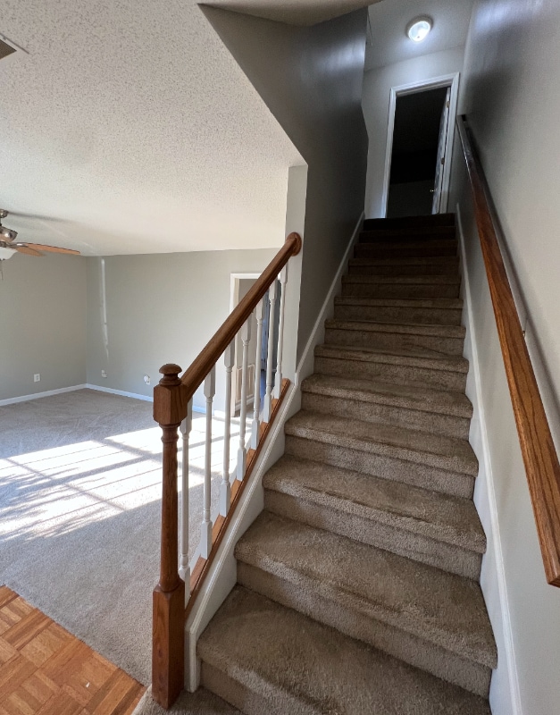 Building Photo - 4737 Scepter Way