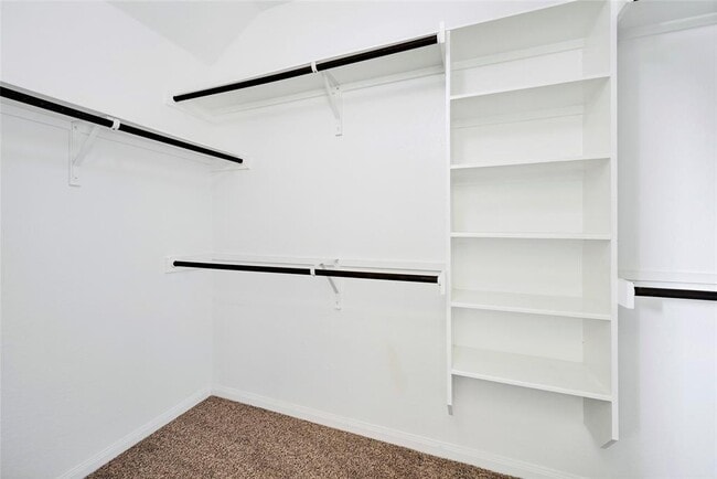 Building Photo - 1005 Fountain Grass Way