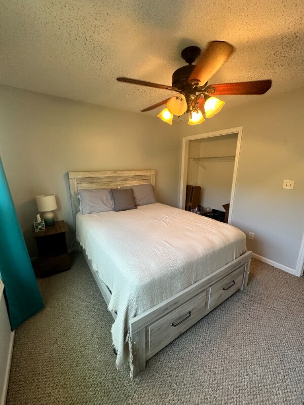 Building Photo - 1107 Pine Grove Dr