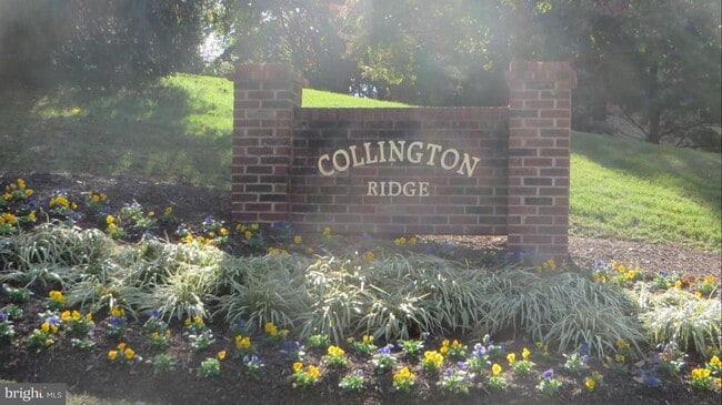 Building Photo - 1126 Pewter Ct