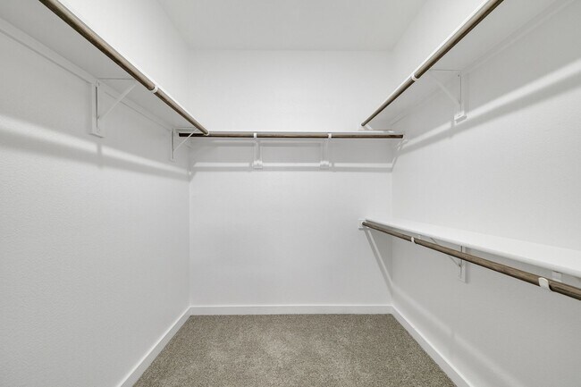 Building Photo - 4 Bedroom New Construction Midlothian