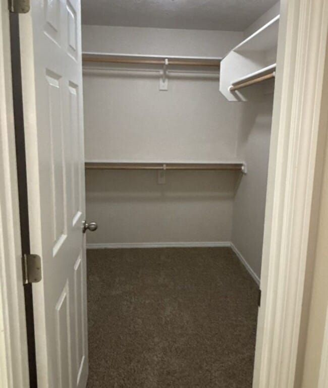 Building Photo - 3Bd/2Ba Single Story Home - Available to View!