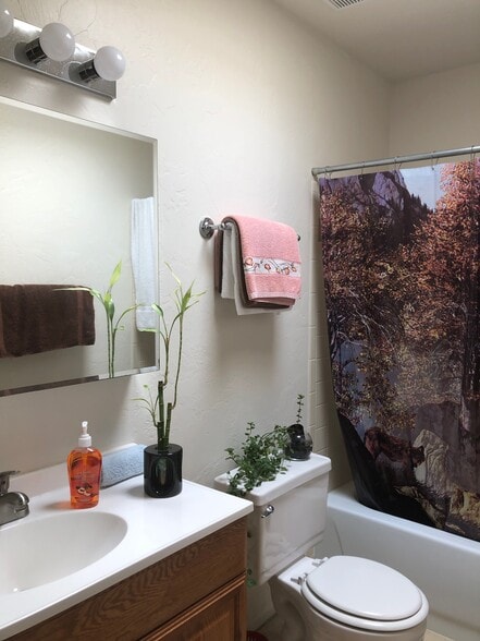 Bathroom #1 (with example furnishings) - 702 E Linden St