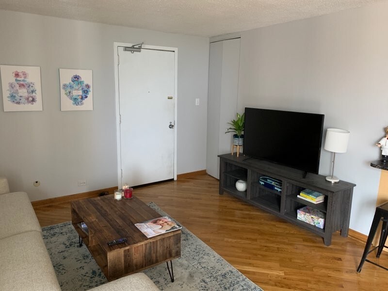 Main Living Area - 1339 N Dearborn St