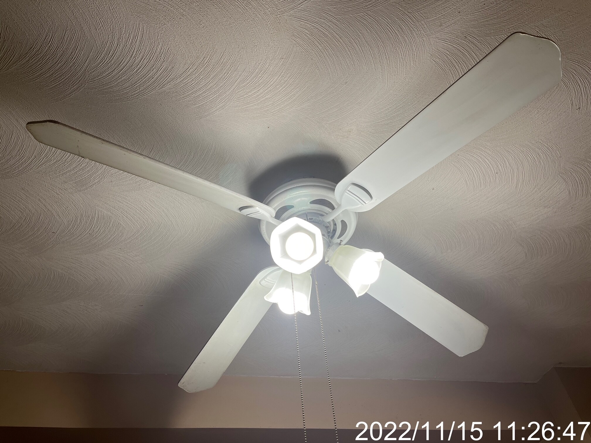 Ceiling Fans - 234 W Willow St