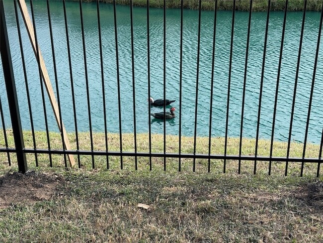 Building Photo - 4230 Geronimo Lake Dr