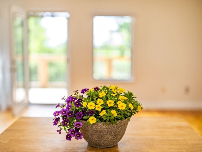 Building Photo - Asheville Rental-Kenilworth Area!