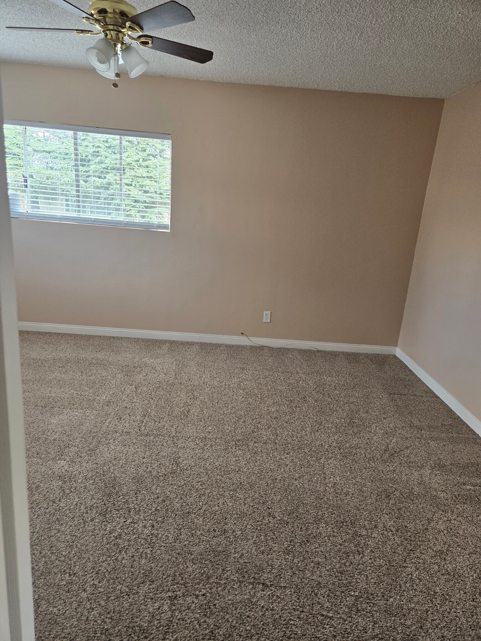 Building Photo - 5723 Hazeltine Ave