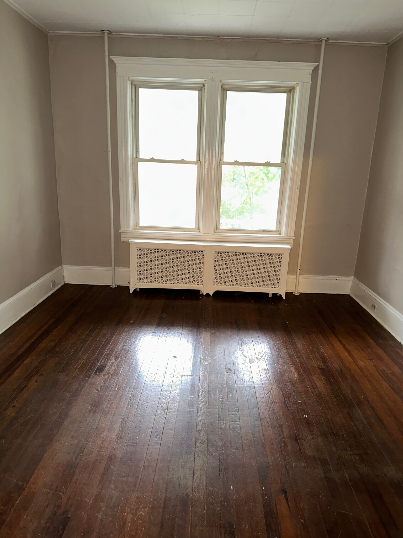 Building Photo - 228 Shafer Ave