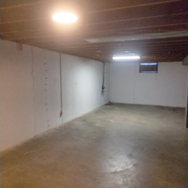 basement - 1125 Walker Ave