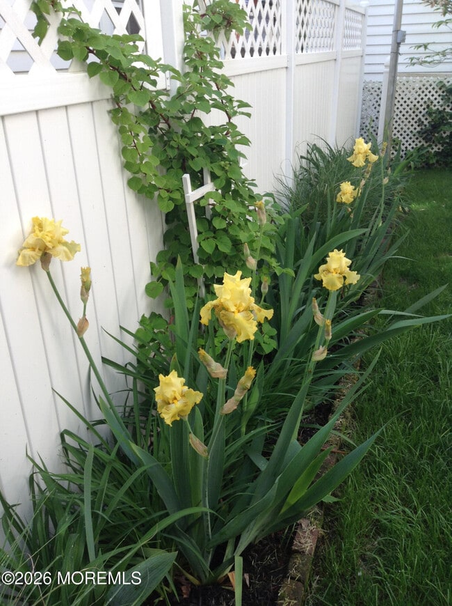 Building Photo - 74 Mt Hermon Way