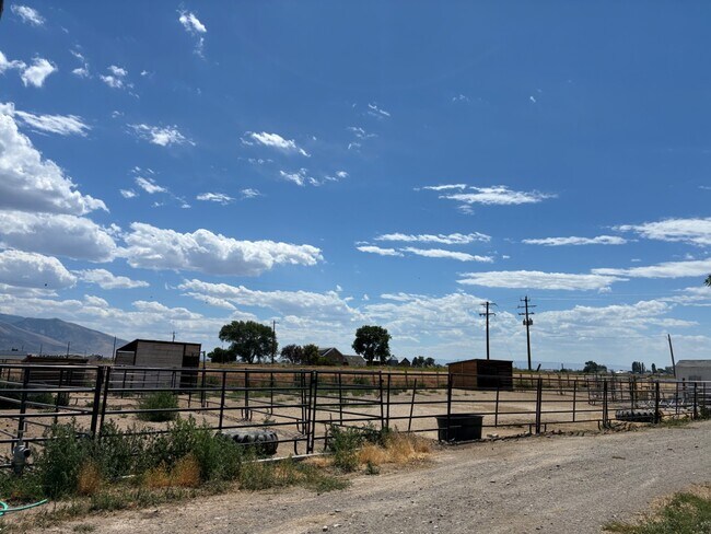 Building Photo - 167 ID-77
