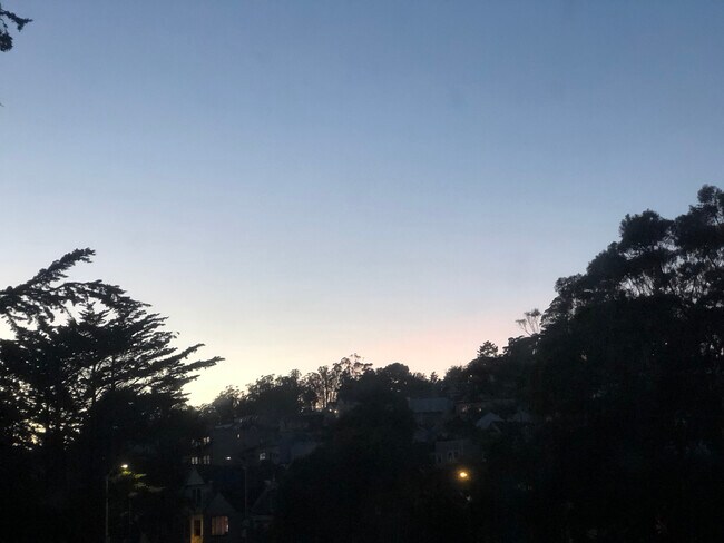 View from living room - 3662 Mission St