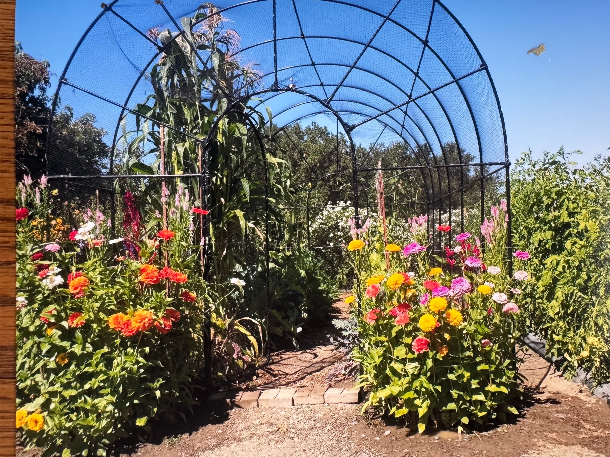 Building Photo - 25860 Altamont Rd