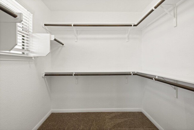 Building Photo - 719 Coconut Grove St