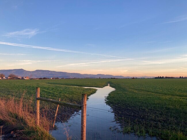 Walking in the neighborhood (unedited photo) - 832 Umpqua St