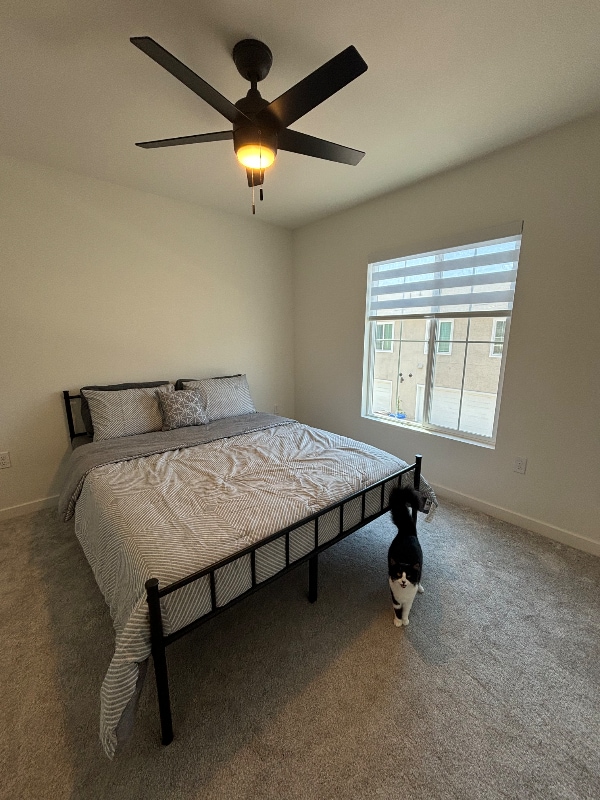 Primary Photo - 35215 Citrange Ln