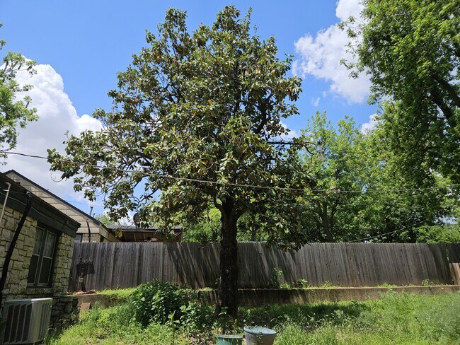 Building Photo - 3113 Drexel Ct