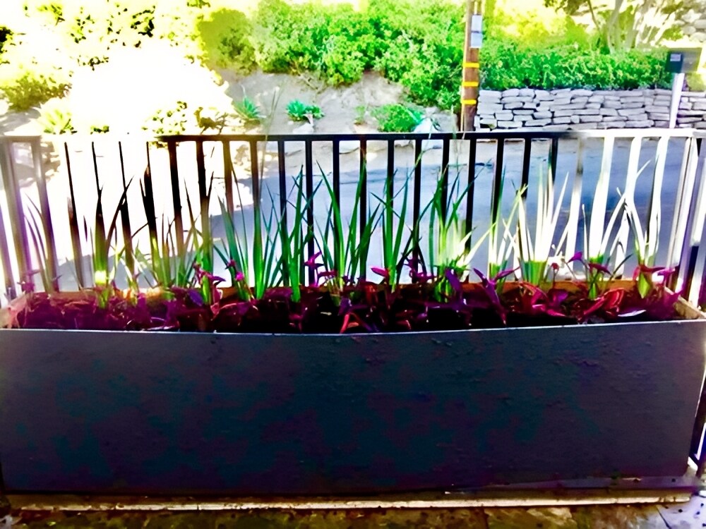front with flower arrangement - 2366 Nichols Canyon Rd