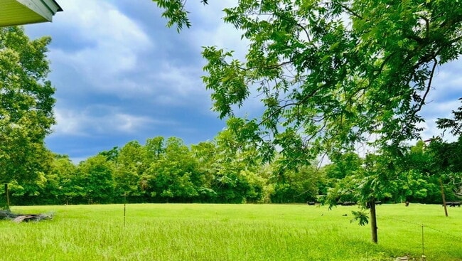 Building Photo - 1337 Broad St