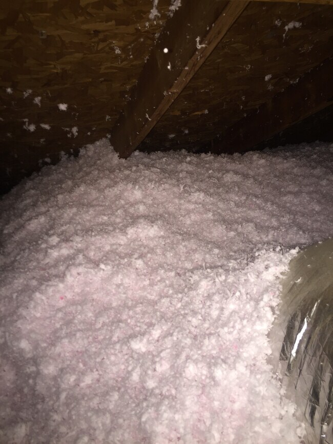 Building Photo - 3409 S Carolina Dr