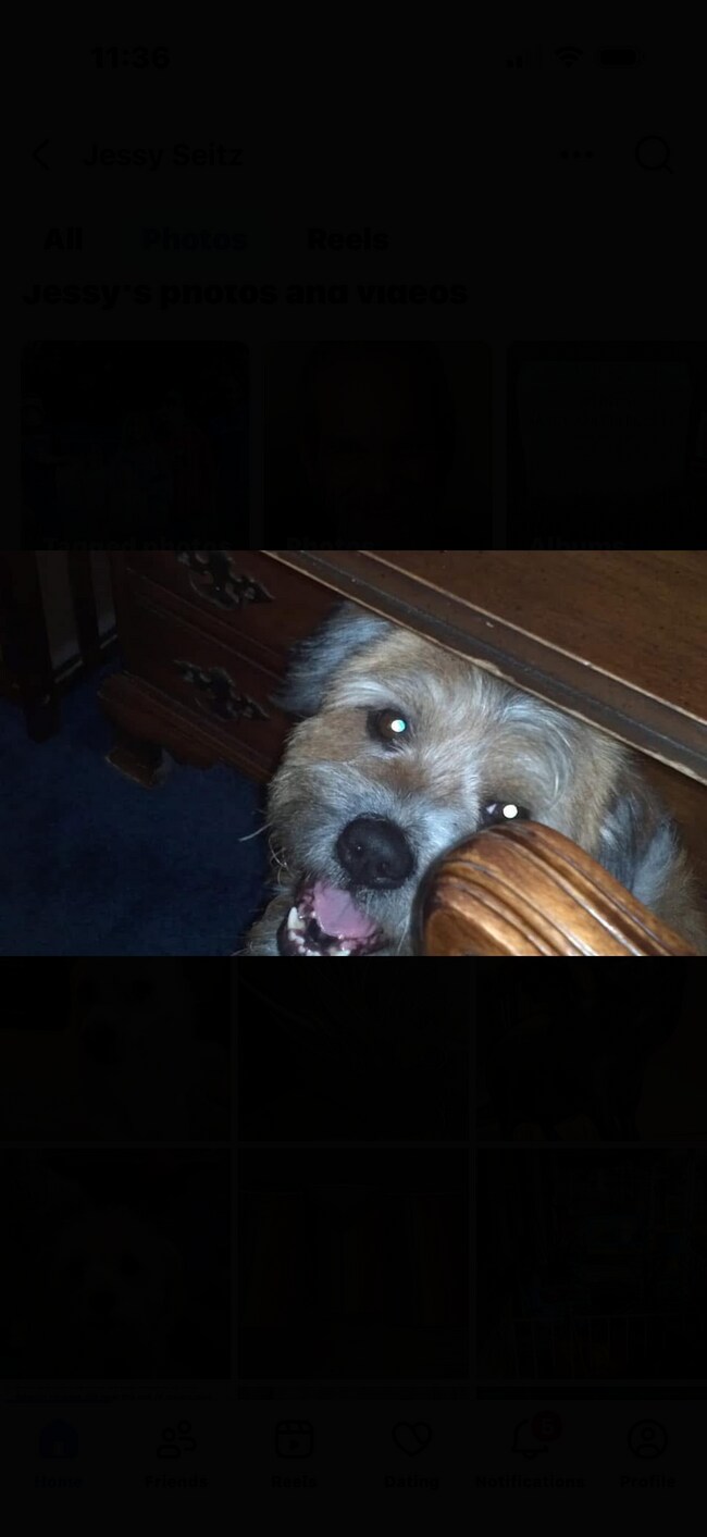 Building Photo - 12516 W Torquay Rd