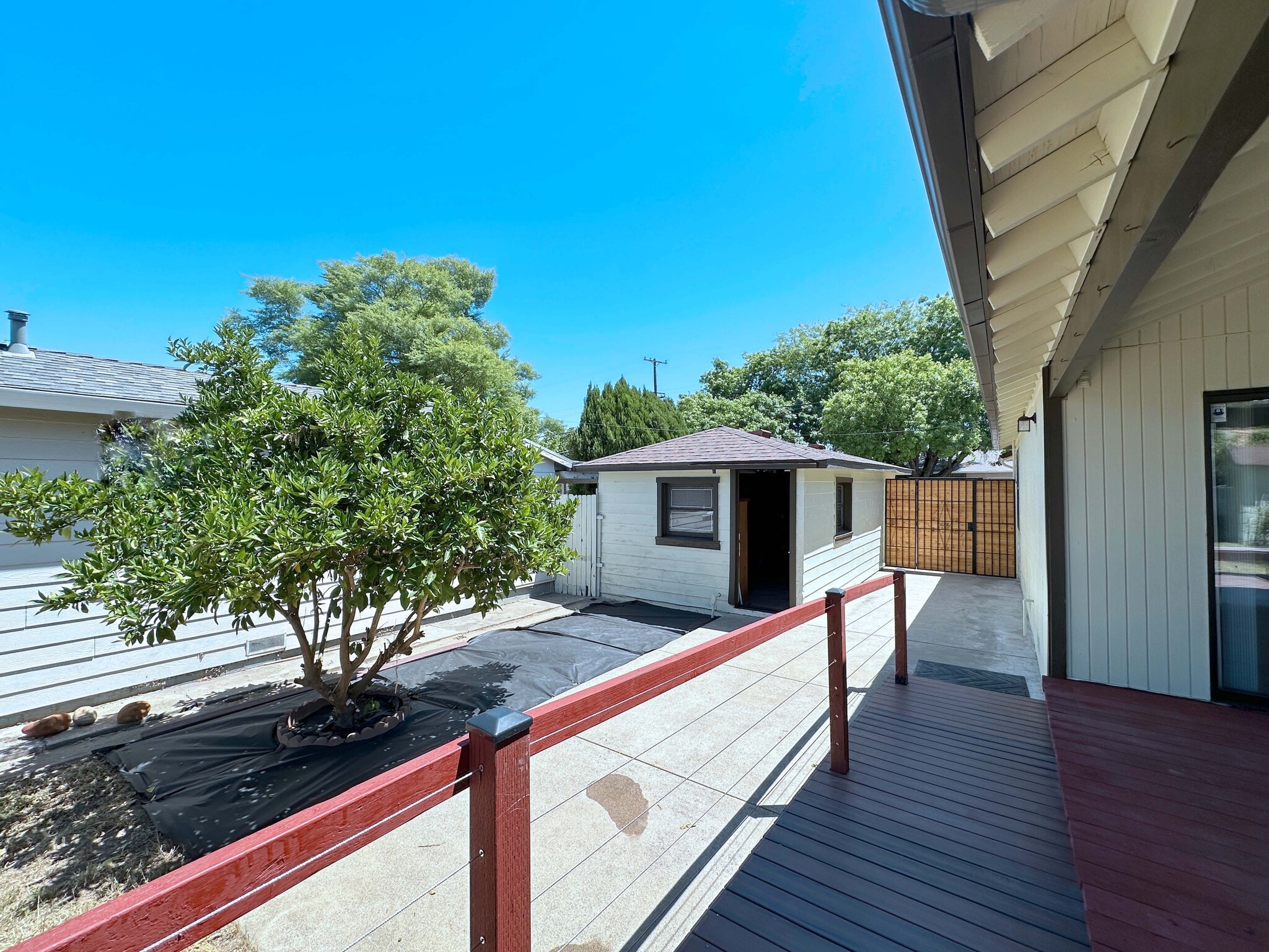 Charming side yard with a mature orange tree and direct path to the detached garage. - 4570 58th St